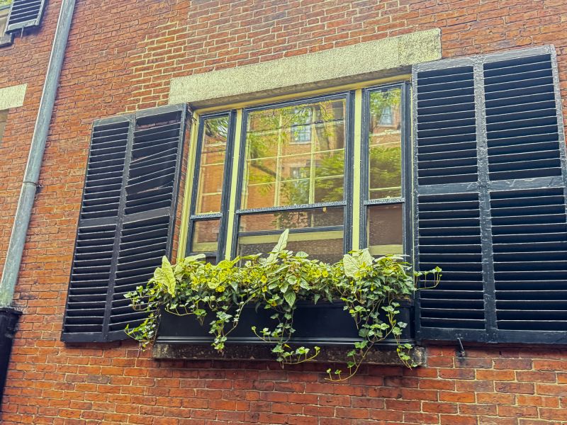 Increase Your Windows Installation Business with an AI Driven, Targeted Website